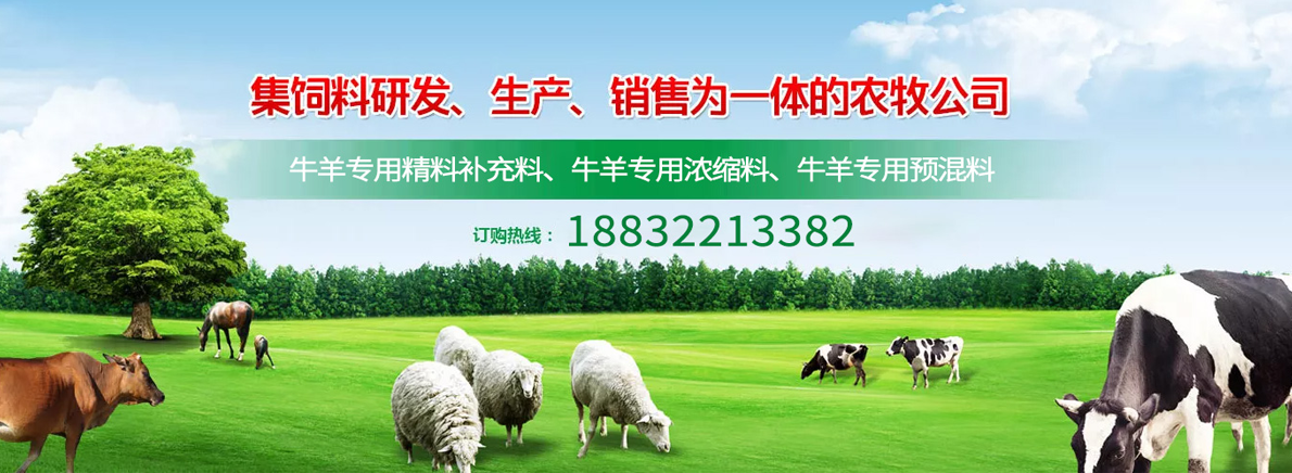 其他页广告